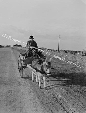 WOMAN, DONKEY AND CART